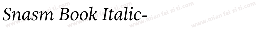 Snasm Book Italic字体转换